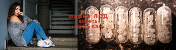 ПСИЛОЦИБИНОВЫЕ ГРИБЫ Волоколамск