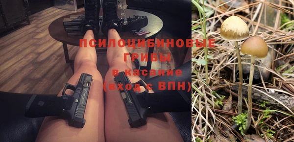 ПСИЛОЦИБИНОВЫЕ ГРИБЫ Волоколамск