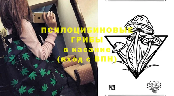 ПСИЛОЦИБИНОВЫЕ ГРИБЫ Волоколамск