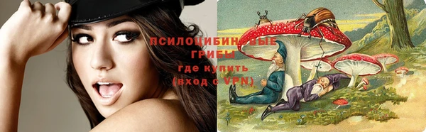 стафф Волосово